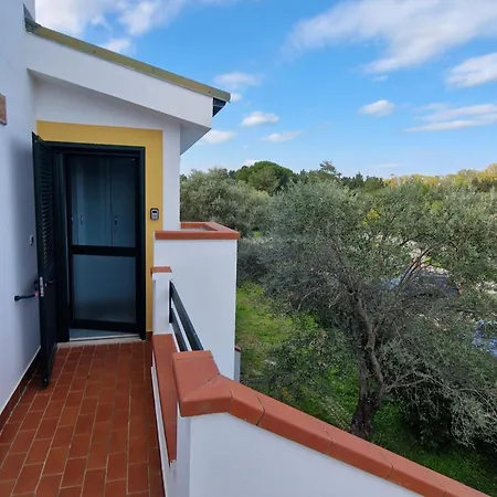 Nina's House Ulivo Sul Mare A 300 Mt Dal Mare *