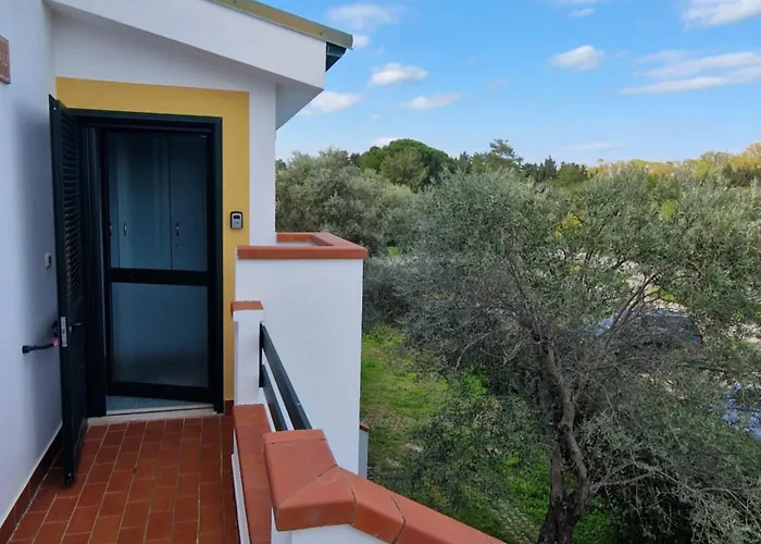 Nina's House Ulivo Sul Mare A 300 Mt Dal Mare *