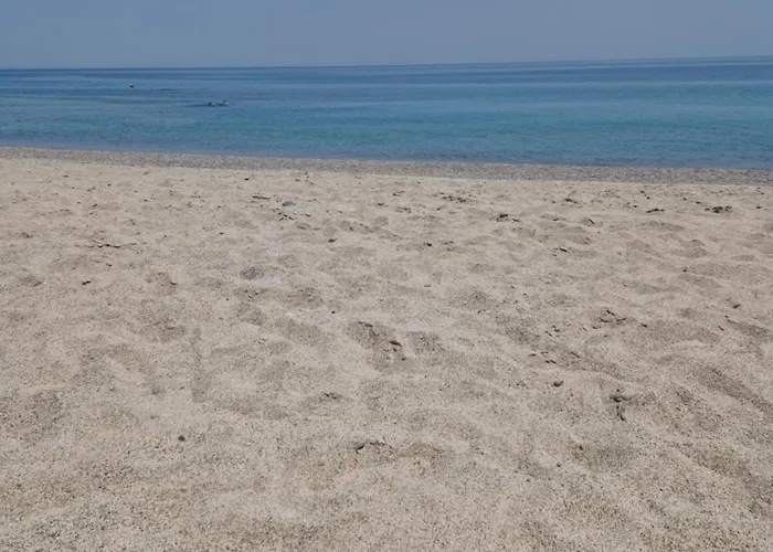 Nina's House Ulivo Sul Mare A 300 Mt Dal Mare Апартаменты